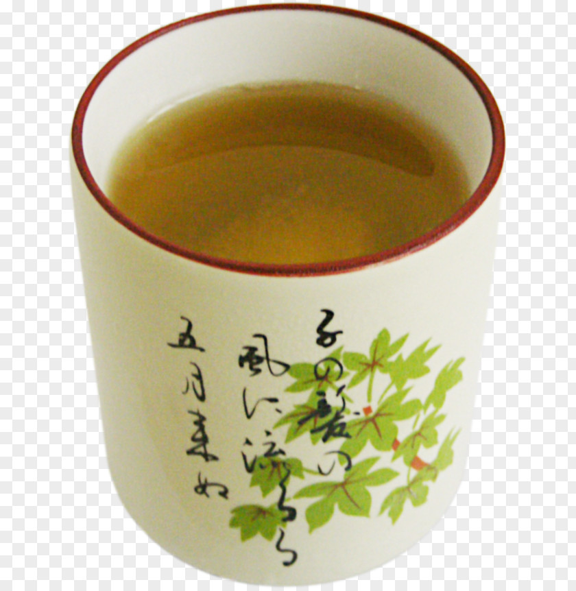 Tea Drumstick Tree Bancha Health Water PNG