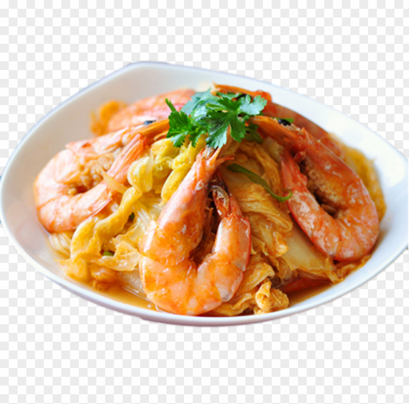 Vector Shrimp Fried Cabbage Caridea Stir Frying Napa Condiment Cellophane Noodles PNG