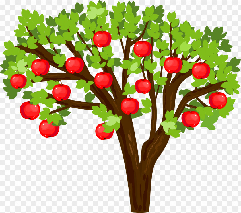 Apple Tree Biological Life Cycle Seed PNG