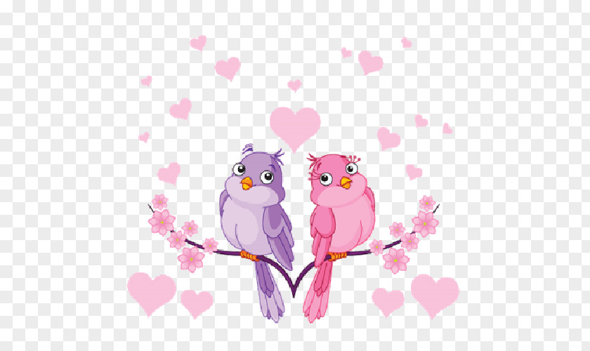 Bird Lovebird Drawing PNG