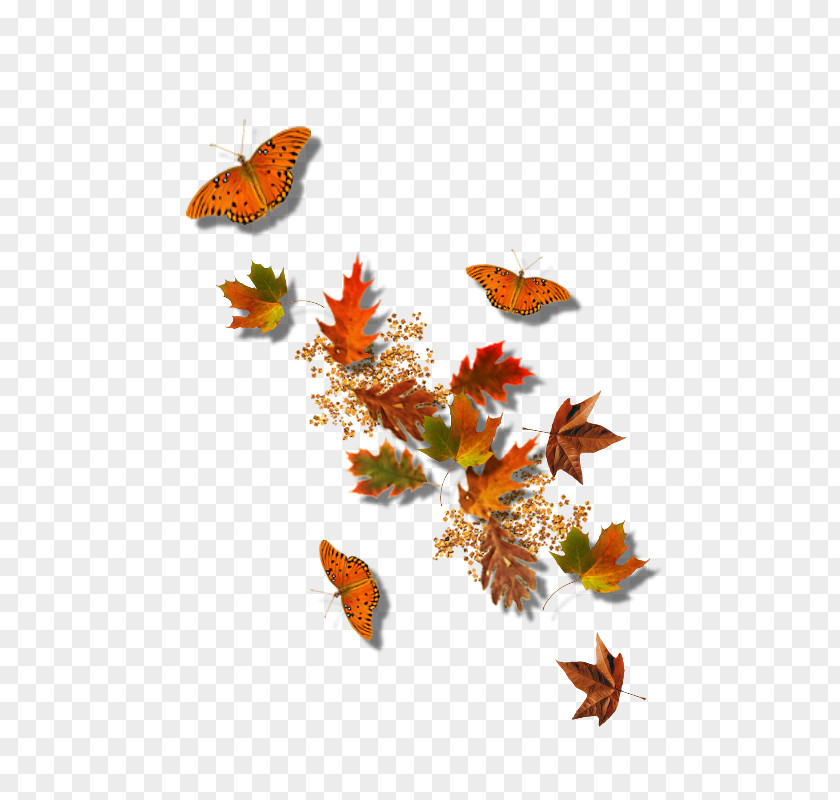 Cool Colors Fall In Autumn Leaf Clip Art PNG