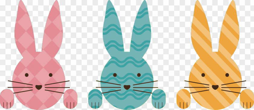 Easter Bunny PNG