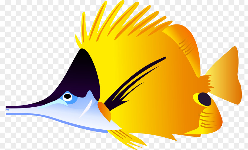 Fish Angelfish Clip Art PNG