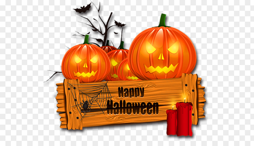 Halloween Pumpkin Costume Clip Art PNG