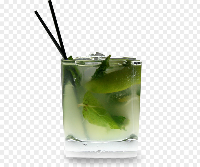 Mojito Caipirinha Cocktail Garnish Mint Julep PNG