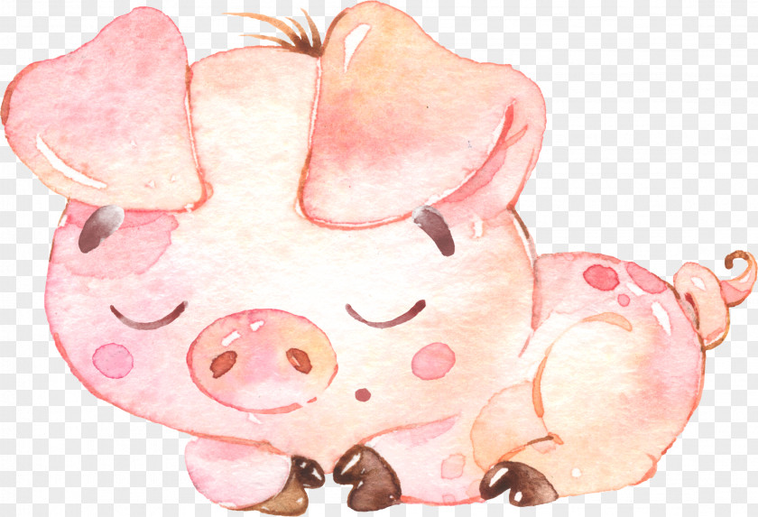 Pig Illustration Drawing Watercolor Painting Image PNG