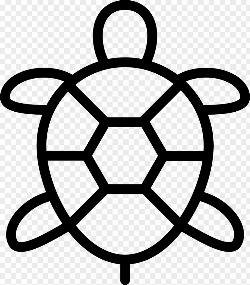 Turtle Vector Graphics Reptile PNG