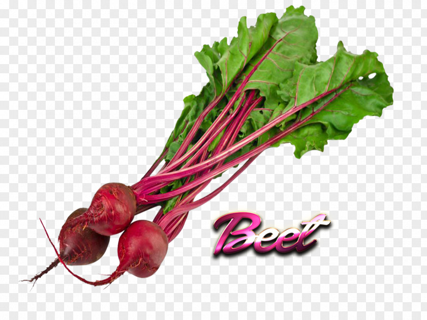 Vegetable Beetroot Chard Sugar Beet PNG