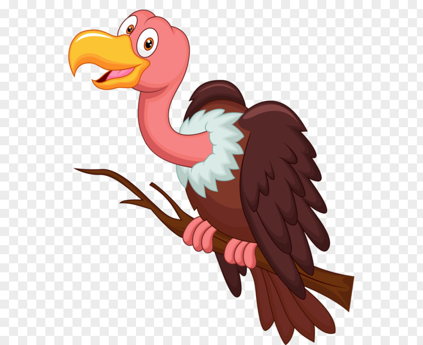 Cartoon Vulture PNG vulture clipart PNG