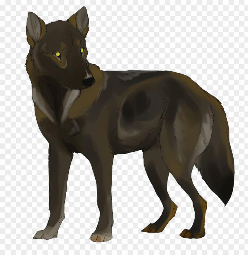 Dark Chocolate Red Fox Dog Breed Wolf Fur PNG
