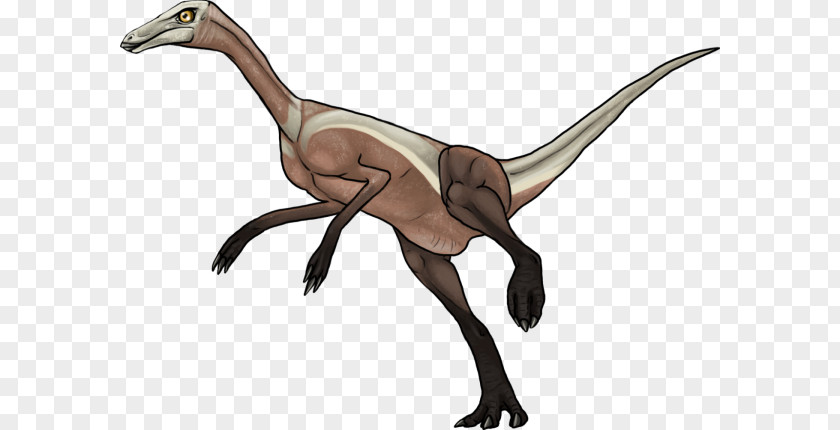 Dinosaur Museum Grande Prairie Velociraptor Philip J. Currie Wapiti Formation PNG