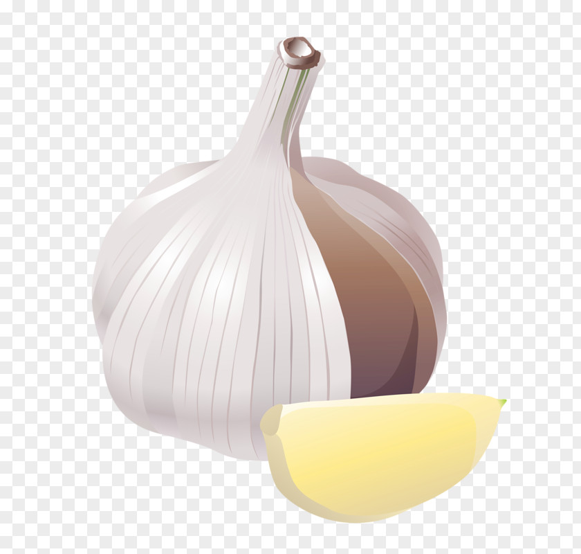 Garlic Vegetable Food Clip Art PNG