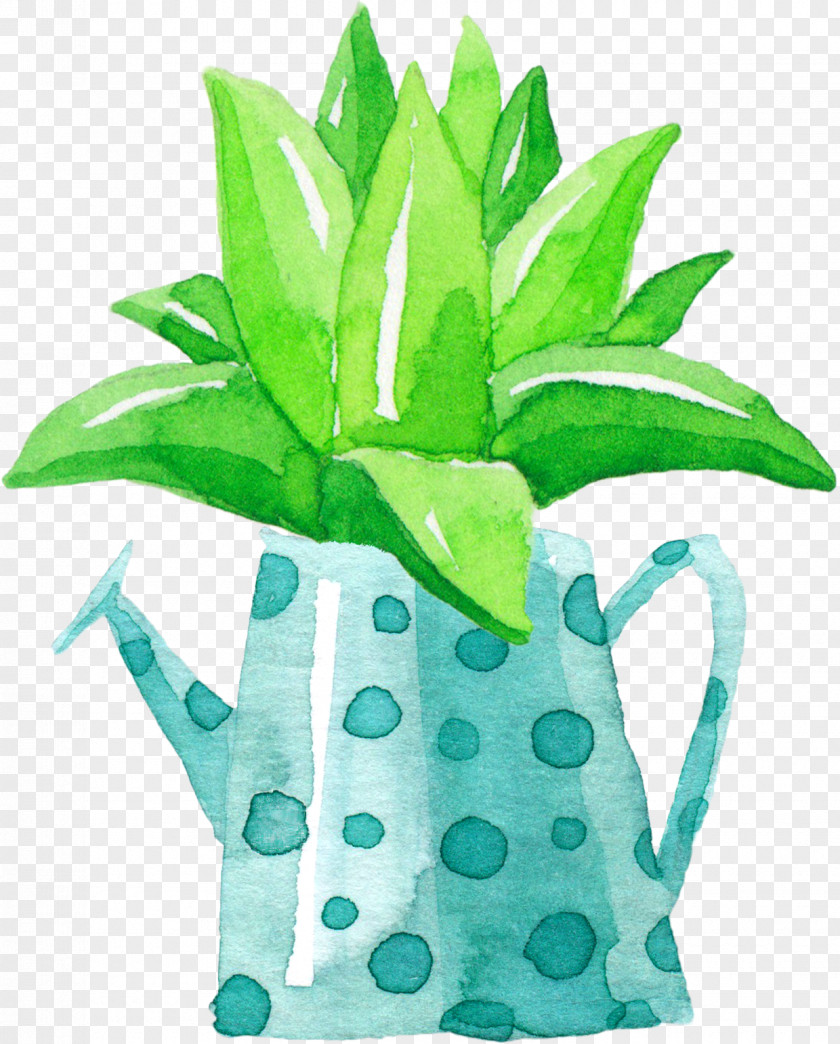 Hand-painted Aloe Vera Potted Euclidean Vector Plant PNG
