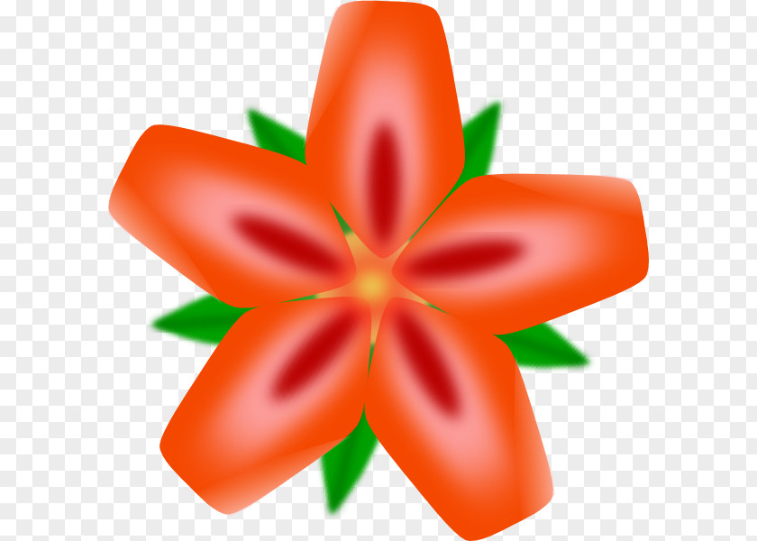 Hawaiin Pictures Hawaiian Flower Clip Art PNG