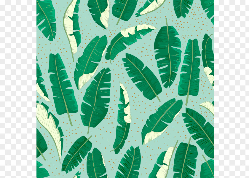 Leaf Banana Arecaceae Pattern PNG