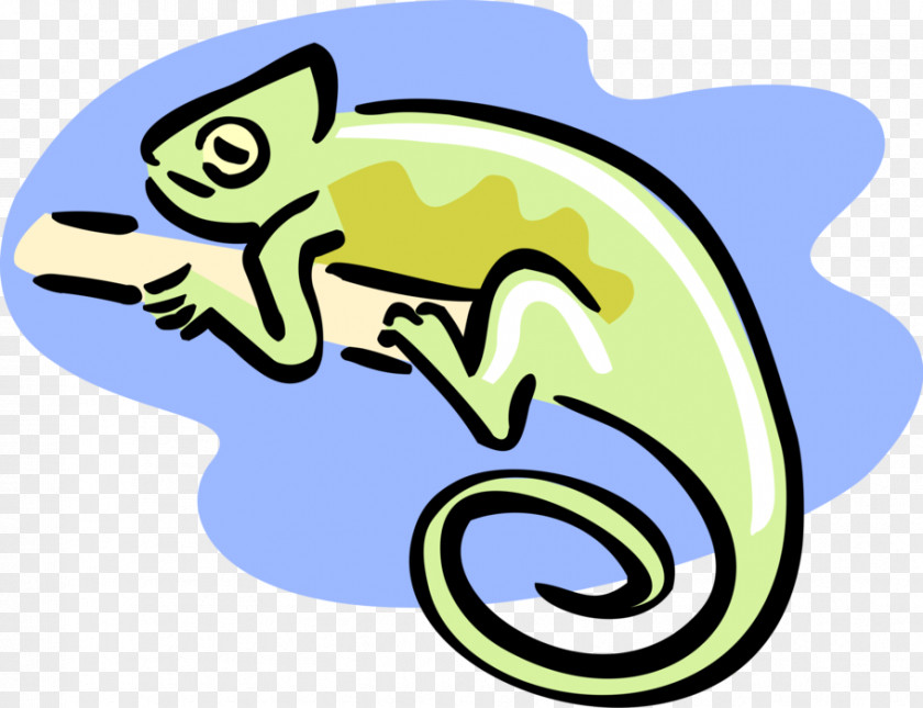Lizard Chameleons Clip Art Illustration Reptile PNG