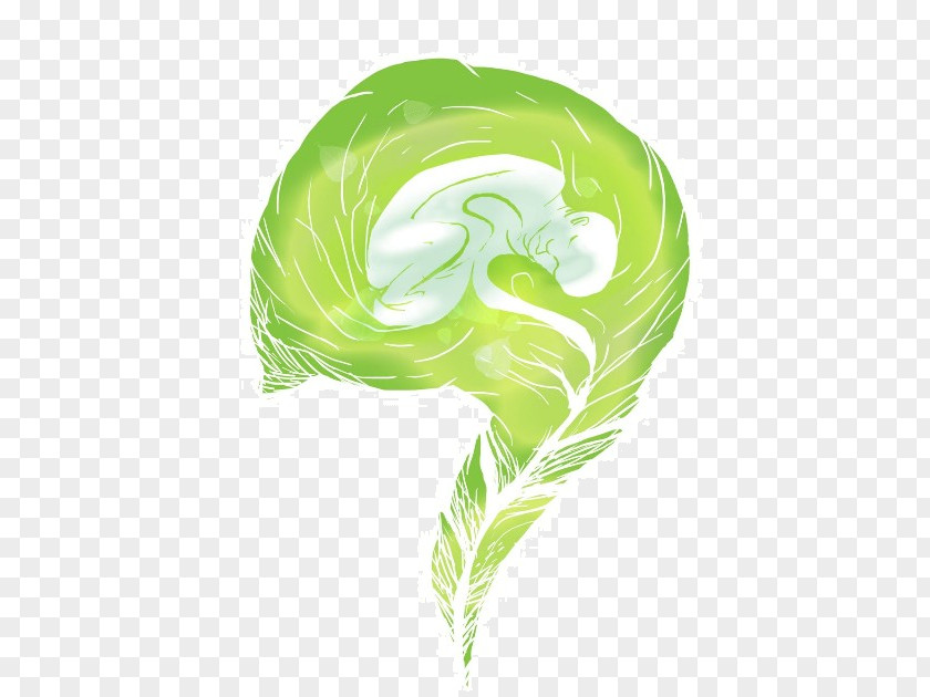 Meio Ambiente Leaf Green PNG
