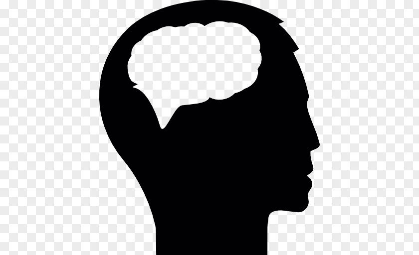 Brain Human Head Anatomy Clip Art PNG