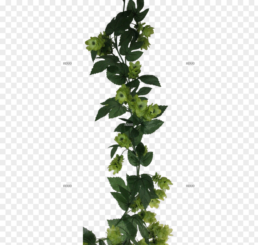 Leaf Herb Flowerpot Plant Stem Tree PNG