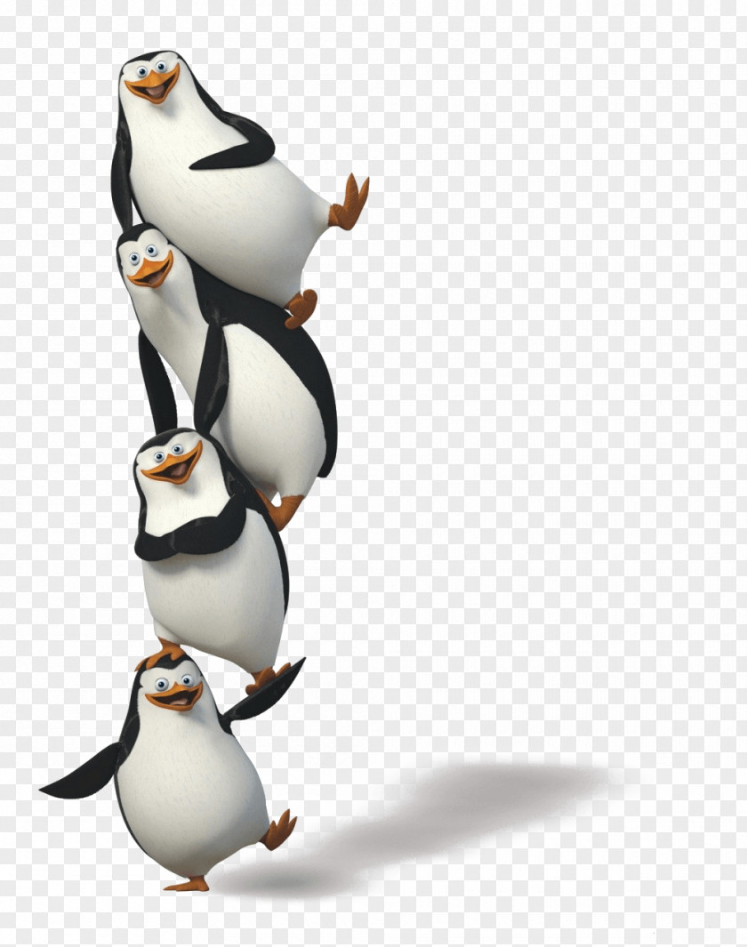 Penguins Image Penguin Madagascar Clip Art PNG