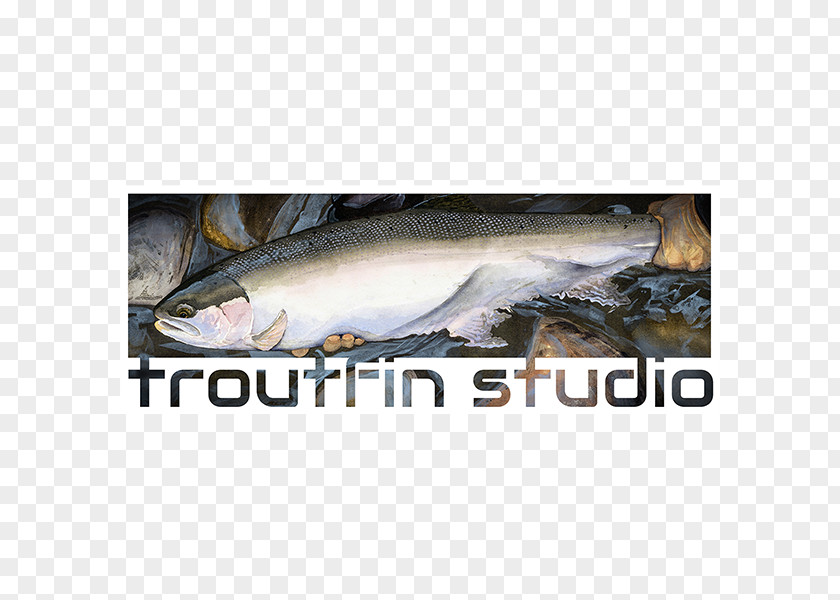 Trout Sardine Fish Products Coho Salmon Mackerel PNG