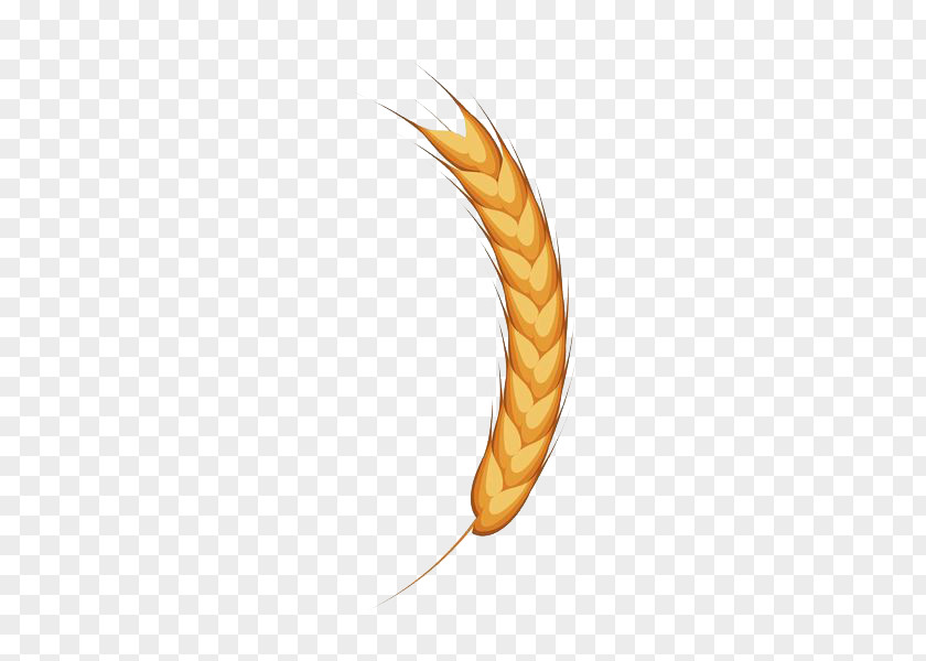A Yellow Ear Of Wheat PNG