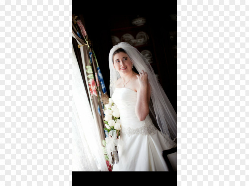 Bride Wedding Dress Veil PNG