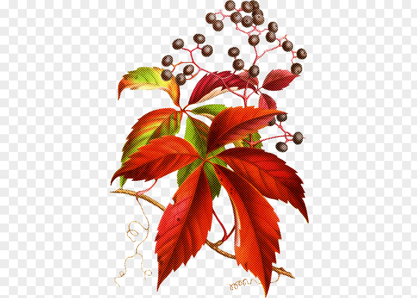 Plant Stem Tree Leaf Flower Red PNG