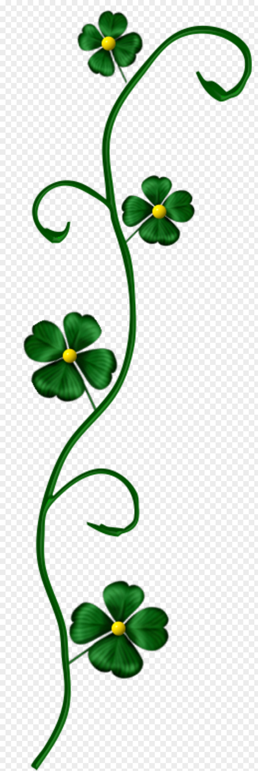 Saint Patrick's Day Blog Clip Art PNG