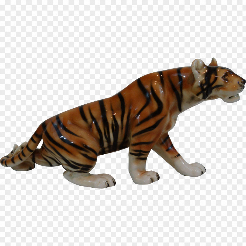 Tiger Big Cat Terrestrial Animal Puma PNG