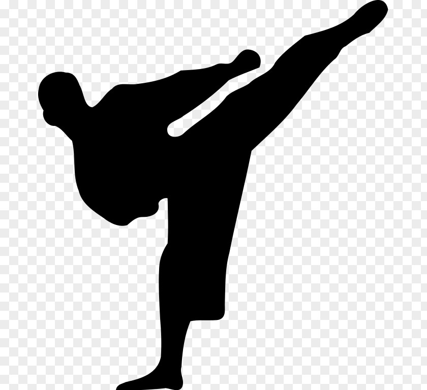 Athlete Silhouette Karate Kickboxing Martial Arts PNG