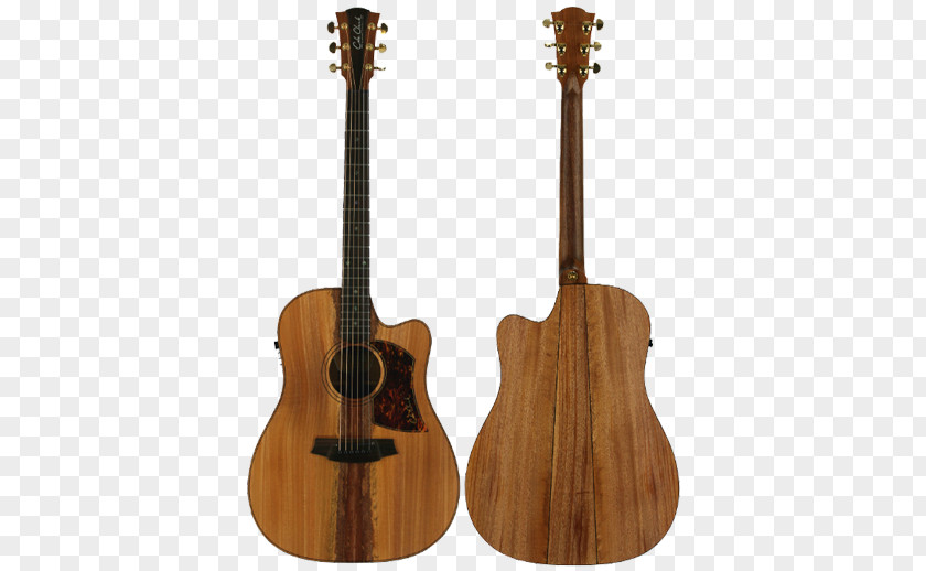 Bass Guitar Acoustic Tiple Ukulele Cuatro PNG