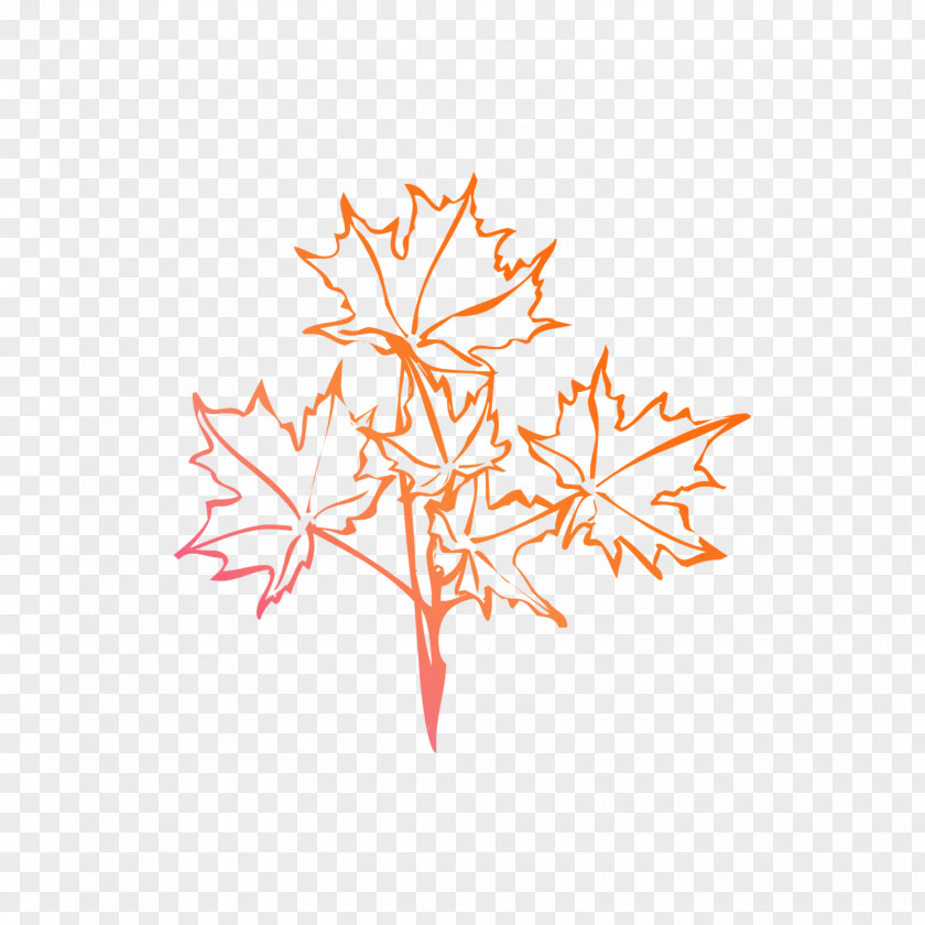 Maple Leaf Line Font PNG