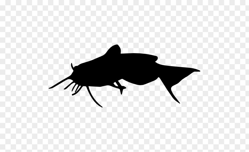 Silhouette Catfish PNG