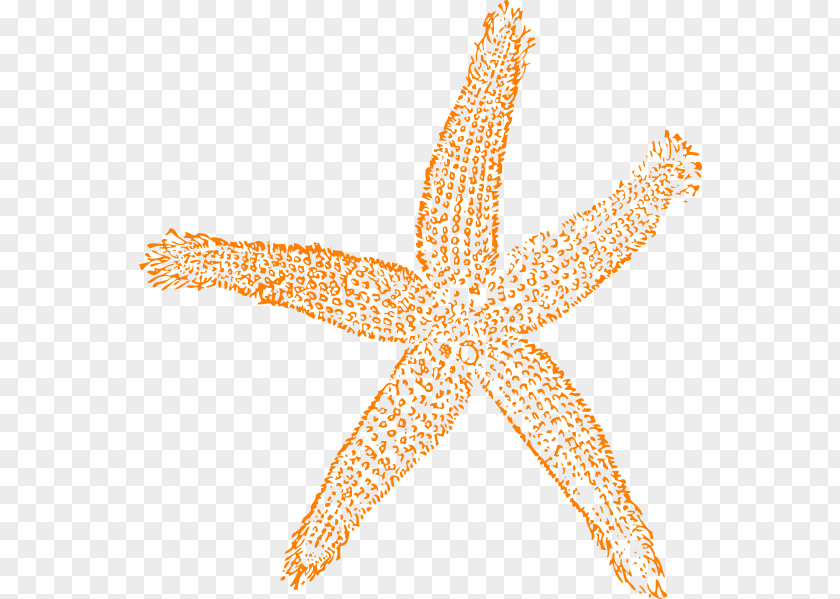 Starfish Outline Fish Clip Art PNG