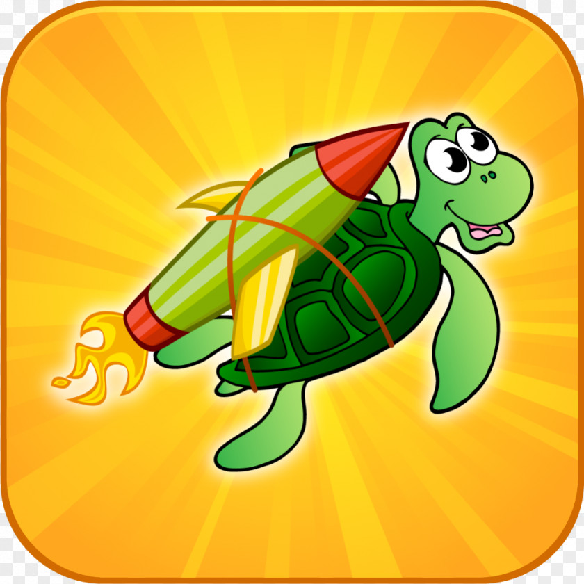 Turtle Tree Frog Cartoon PNG