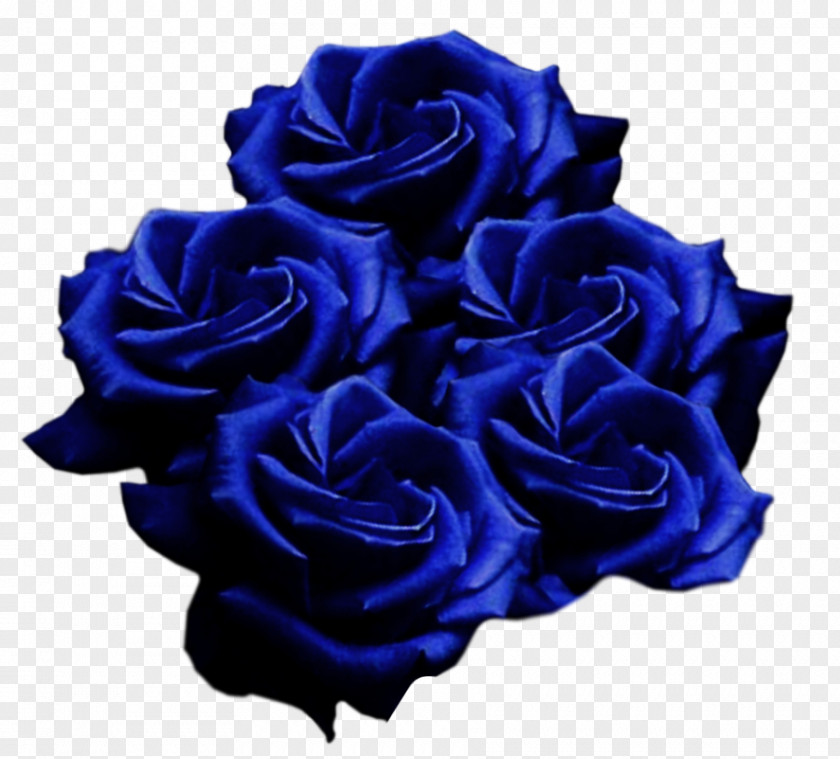 A Blue Rose Garden Roses Cut Flowers PNG