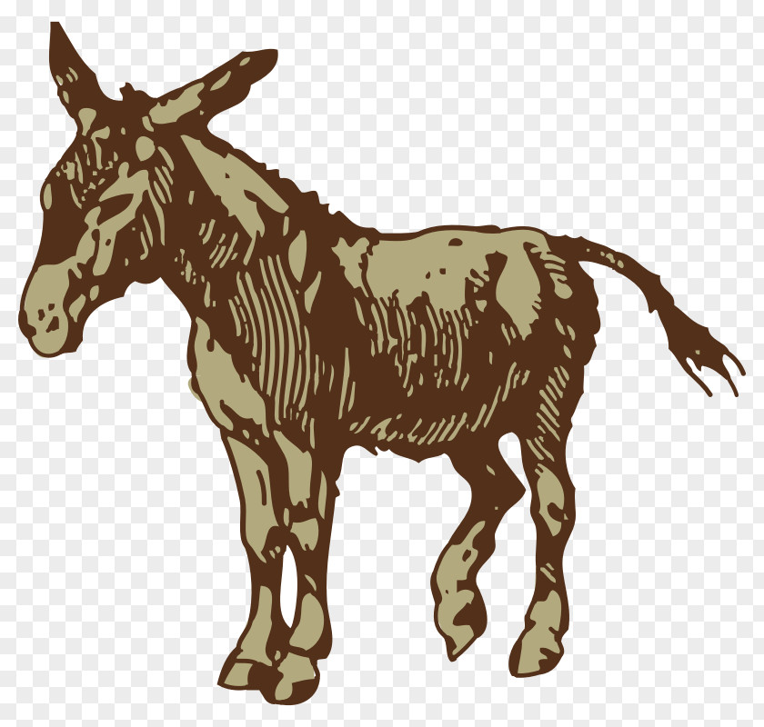 Donkey Images Free Royalty-free Clip Art PNG