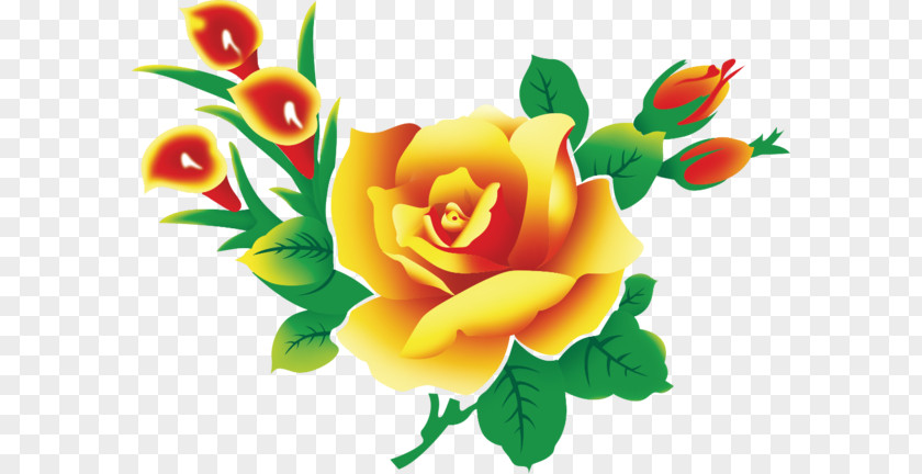 Garden Roses Flower Floral Design Clip Art PNG