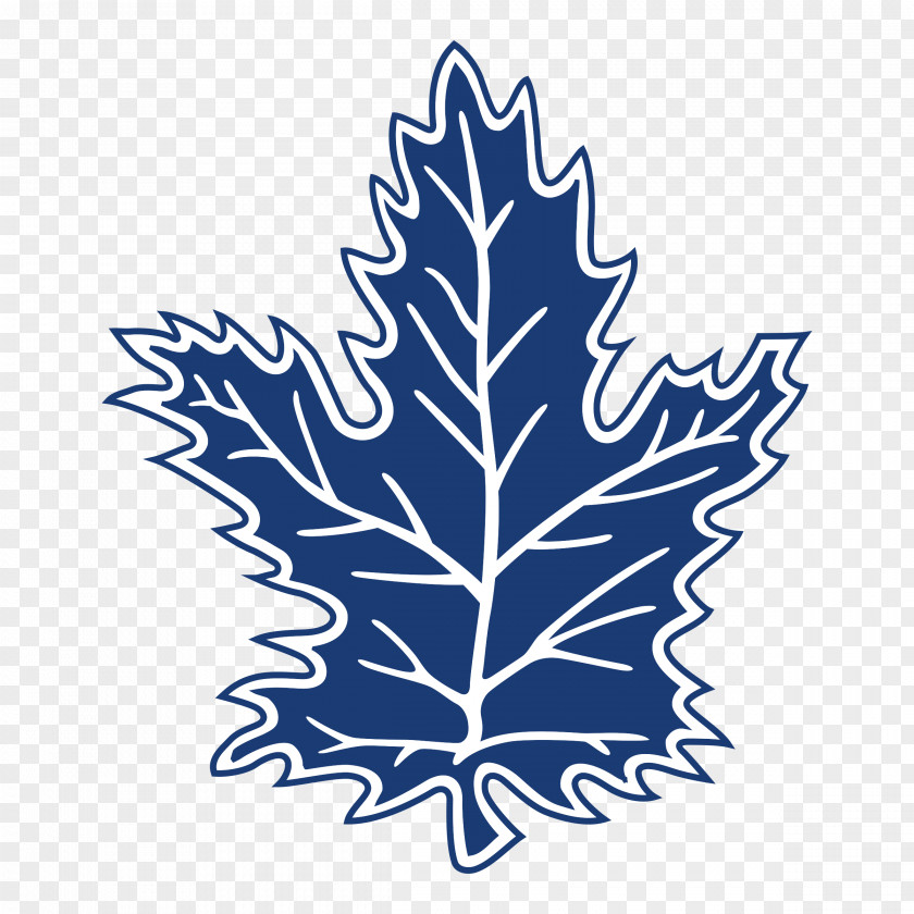 Leaf 2017–18 Toronto Maple Leafs Season National Hockey League Raptors Ice PNG