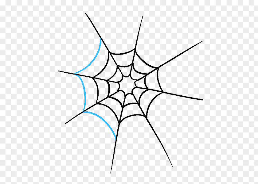 Spider Web Drawing Art Sketch PNG