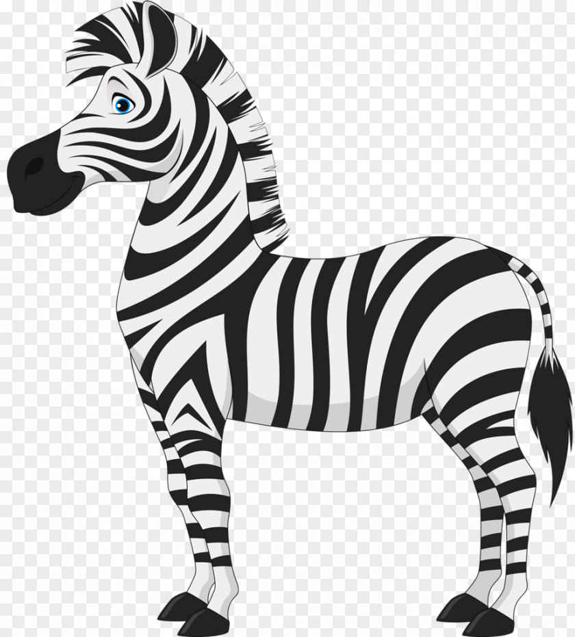 Cartoon Zebra Sunrise Pediatric Neurology Foal Clip Art PNG