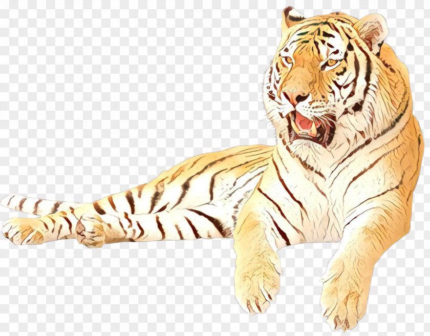 Clip Art Image White Tiger Jaguar PNG