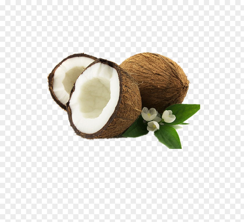 Coconut Oil Plant Milk Cream Fruit PNG