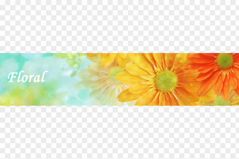 Flower Desktop Wallpaper Petal PNG