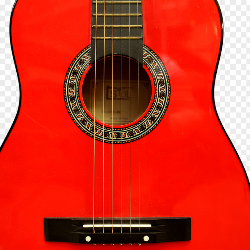 Acoustic Guitar Acoustic-electric Bass Tiple PNG