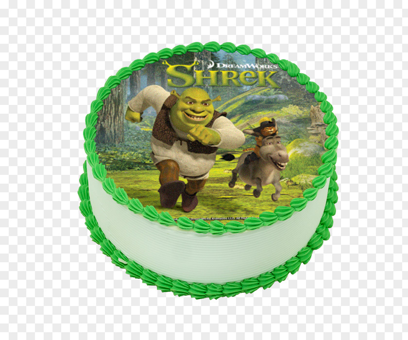 Das Große Abenteuer-LesebuchLongan Torte Princess Fiona Birthday Cake Decorating Shrek Der Dritte PNG