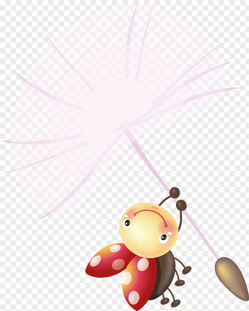 Ladybird Insect Bee Drawing Clip Art PNG