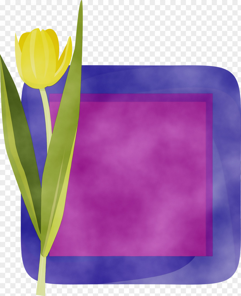 Lavender PNG