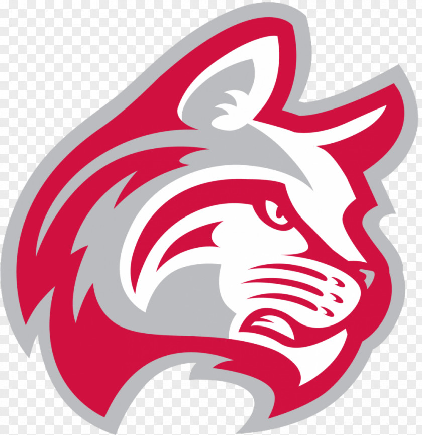 Student Indiana Wesleyan University Wildcats Men's Basketball Huntington Corban Shawnee State PNG